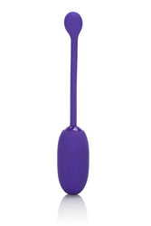 Cal Exotics - Rechargeable Kegel Ball Starter - Purple - Stag Shop