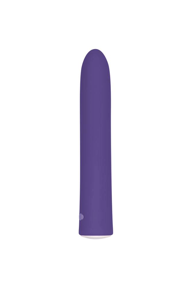 Evolved - Rechargeable Slim Vibrator - Purple - Stag Shop