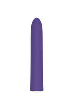 Evolved - Rechargeable Slim Vibrator - Purple