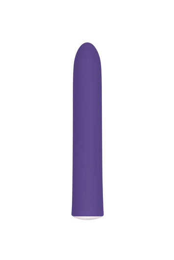 Evolved - Rechargeable Slim Vibrator - Purple - Stag Shop