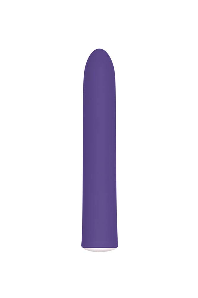 Evolved - Rechargeable Slim Vibrator - Purple - Stag Shop