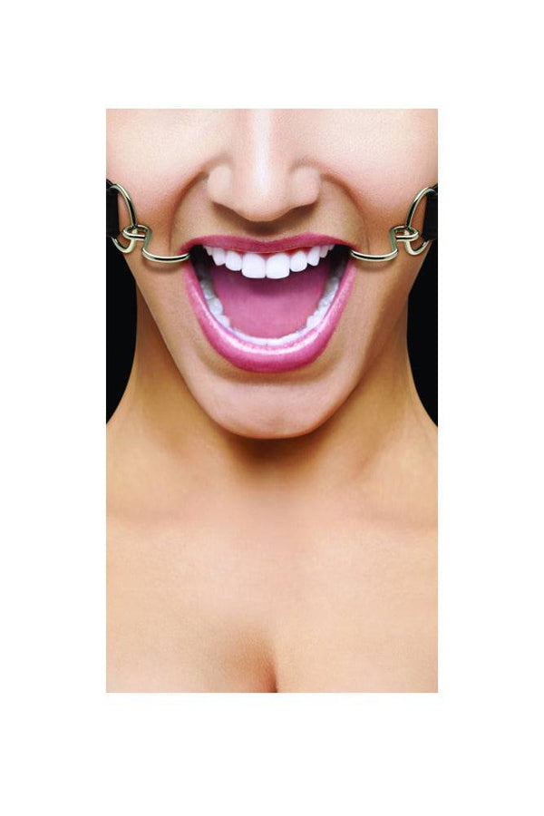 Ouch by Shots Toys - Hook Gag - Black - Stag Shop