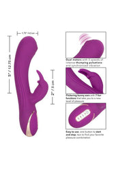 Cal Exotics - Jack Rabbit Signature - Silicone Thumping Rabbit Vibrator - Purple - Stag Shop