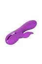 Cal Exotics - California Dreaming - Valley Vamp Vibrator - Purple - Stag Shop