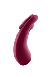 Satisfyer - Sexy Secret Panty Vibrator - Bordeaux - Stag Shop