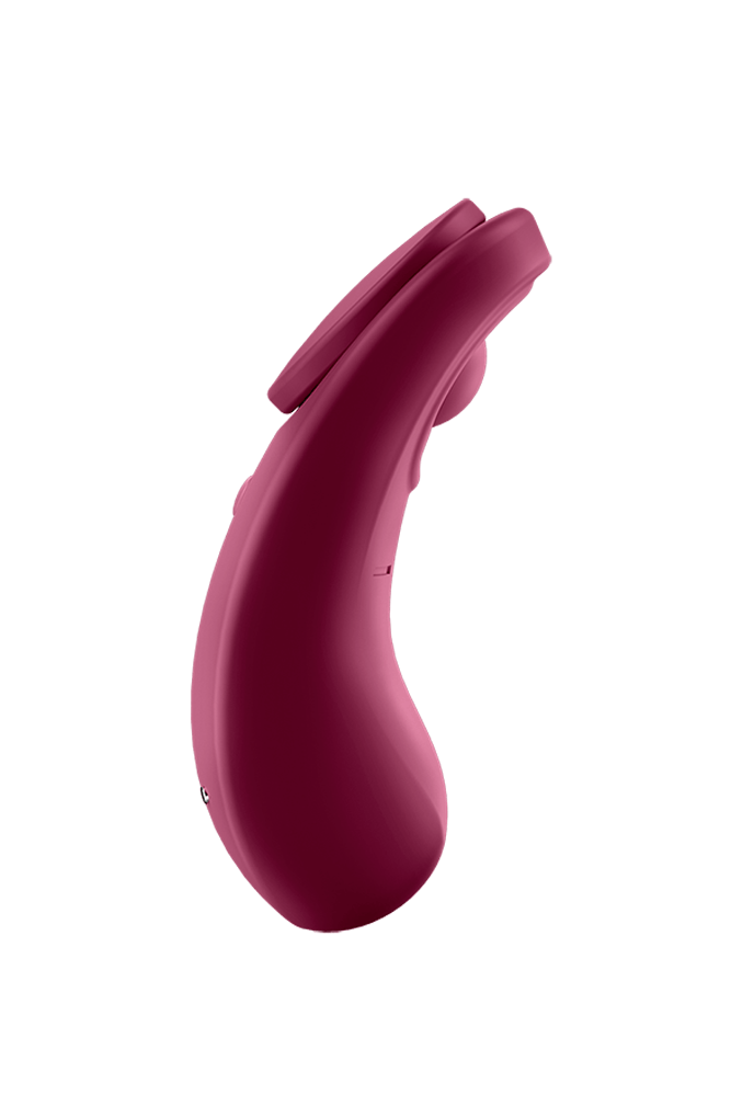 Satisfyer - Sexy Secret Panty Vibrator - Bordeaux - Stag Shop
