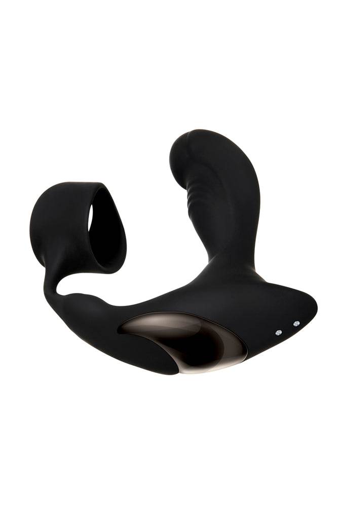 Zero Tolerance - Strapped & Tapped Prostate Massager - Black - Stag Shop