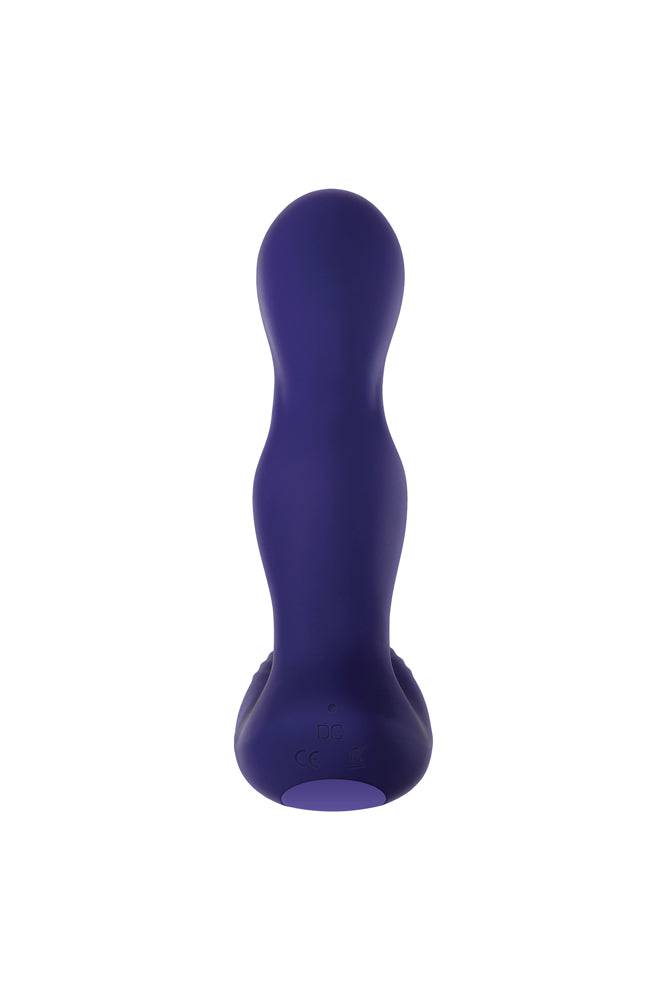 Zero Tolerance - The Rocker Prostate Massager & Remote - Purple - Stag Shop