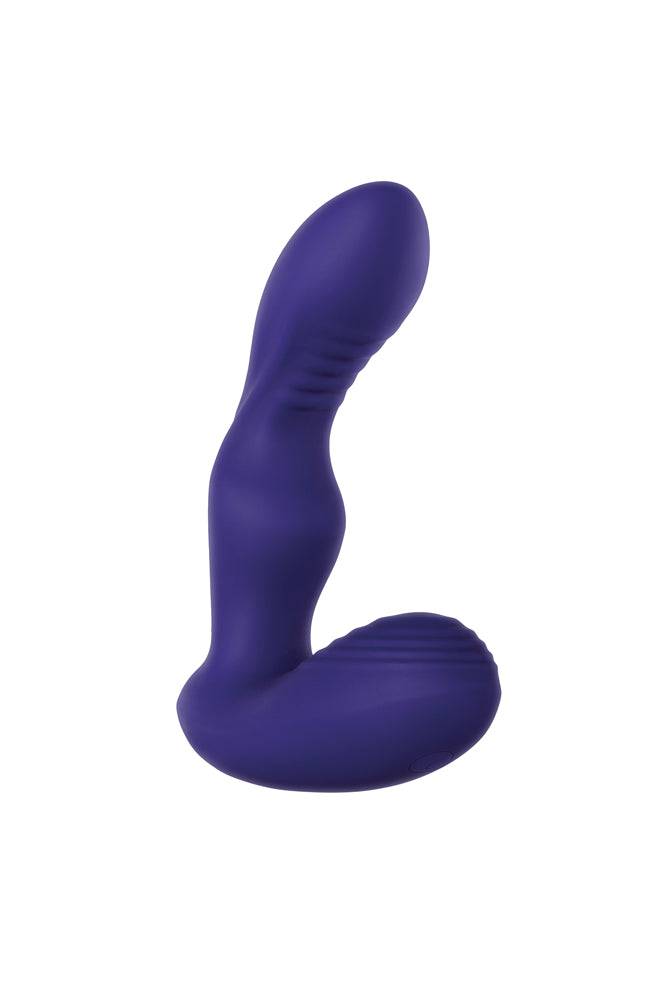 Zero Tolerance - The Rocker Prostate Massager & Remote - Purple - Stag Shop