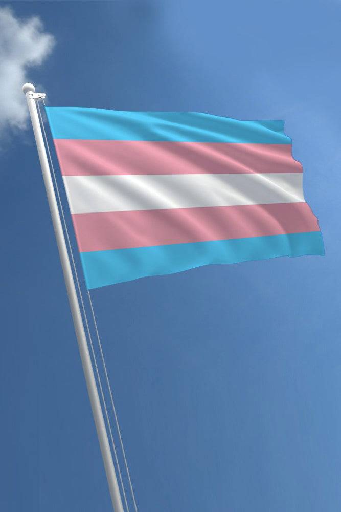 Stag Shop - Pride Flag - Transgender - 5 x 8 Inch - Stag Shop