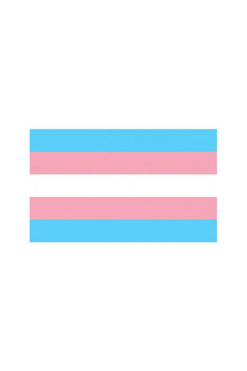 Stag Shop - Pride Flag - Transgender - 3' x 5' - Stag Shop
