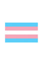 Stag Shop - Pride Flag - Transgender - 5 x 8 Inch - Stag Shop