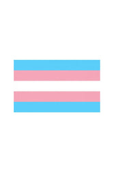 Stag Shop - Pride Flag - Transgender - 5 x 8 Inch - Stag Shop