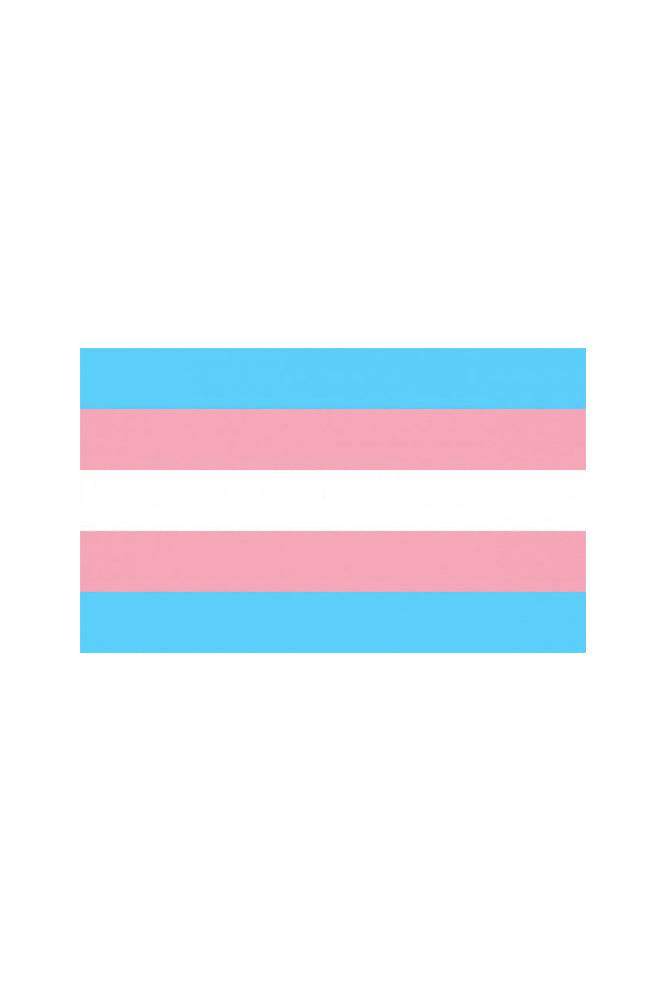 Stag Shop - Pride Flag - Transgender - 5 x 8 Inch - Stag Shop