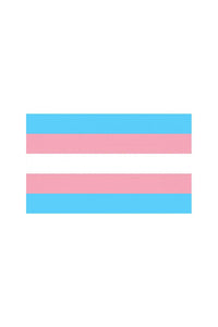 Thumbnail for Stag Shop - Pride Flag - Transgender - 5 x 8 Inch - Stag Shop