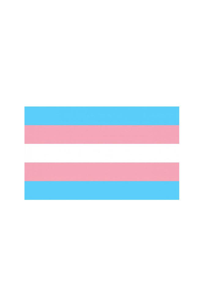 Stag Shop - Pride Flag - Transgender - 5 x 8 Inch - Stag Shop