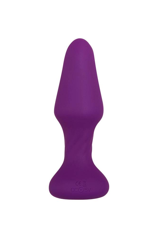 Zero Tolerance - Tunnel Teaser Rotating Butt Plug & Remote - Purple - Stag Shop