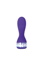 Evolved - Twinkle Vibrator - Purple - Stag Shop