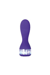 Evolved - Twinkle Vibrator - Purple - Stag Shop
