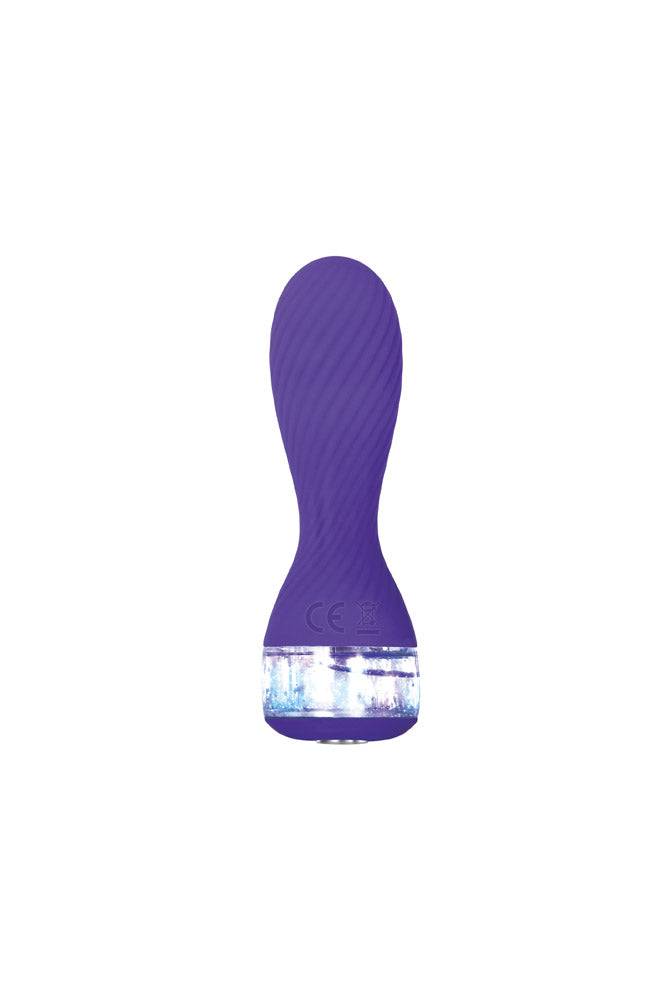 Evolved - Twinkle Vibrator - Purple - Stag Shop