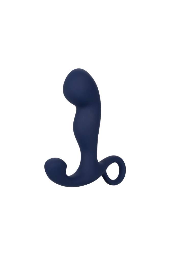 Cal Exotics - Viceroy - Rechargeable Command Probe - Blue - Stag Shop