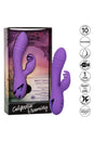 Cal Exotics - California Dreaming - West Coast Wave Rider - Dual Vibrator - Purple - Stag Shop