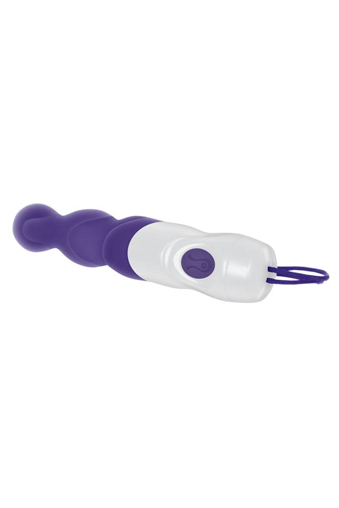 Evolved - Wet & Wild Anal Vibrator - Purple - Stag Shop