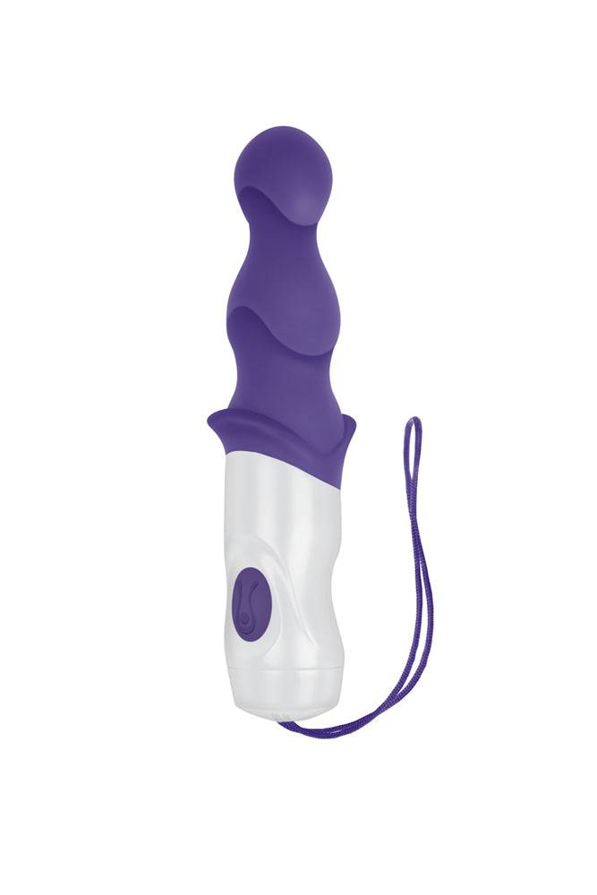 Evolved - Wet & Wild Anal Vibrator - Purple - Stag Shop