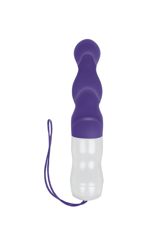 Evolved - Wet & Wild Anal Vibrator - Purple - Stag Shop