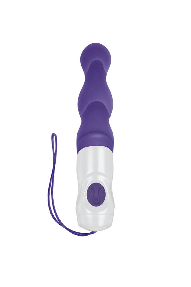 Evolved - Wet & Wild Anal Vibrator - Purple - Stag Shop