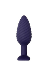 Zero Tolerance - Wicked Twister Vibrating Remote Butt Plug - Purple - Stag Shop