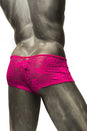 Coquette -  Z5086 - Men's Sexy Lace Brief - Fuchsia - Small - Stag Shop